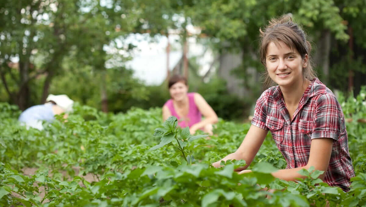  Tarımda Teknolojik ve İnovatif Çözümler Yarışması’na başvurular devam ediyor