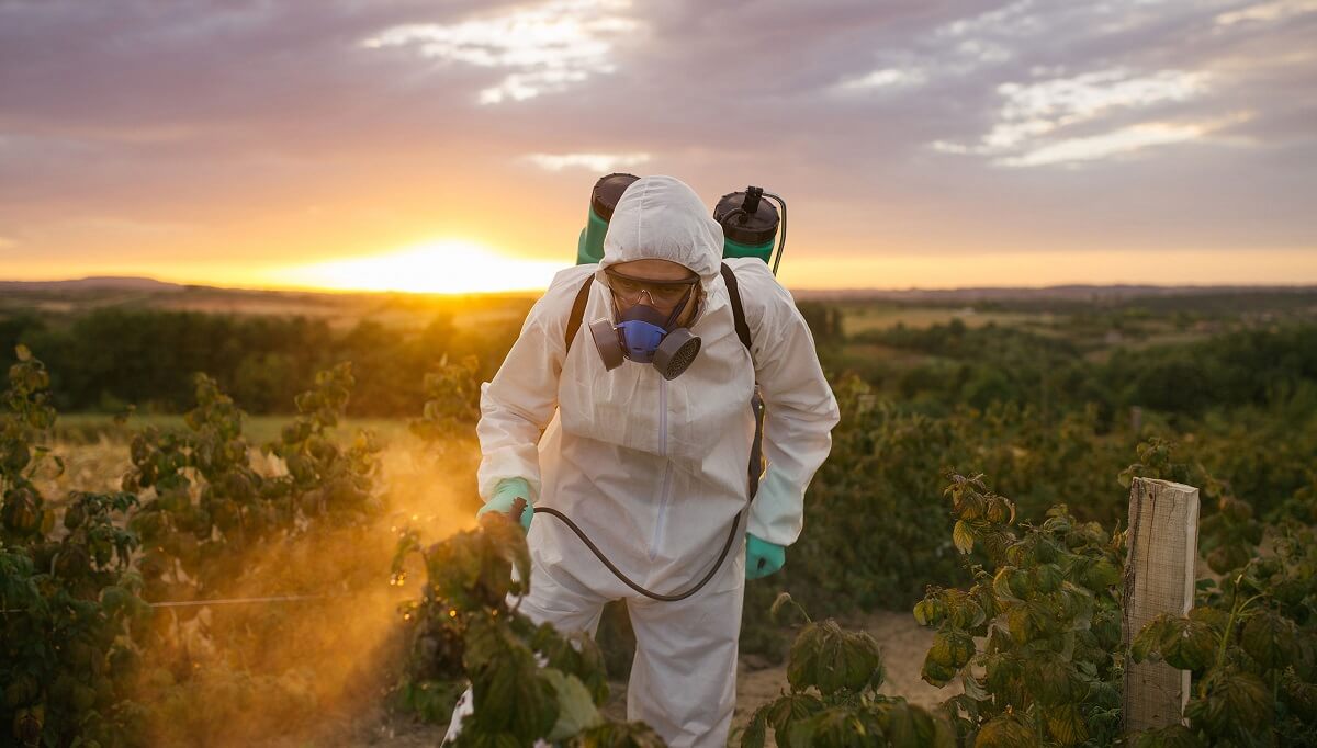  Yerel yönetimlere çağrı: Zehirsiz kent istiyoruz