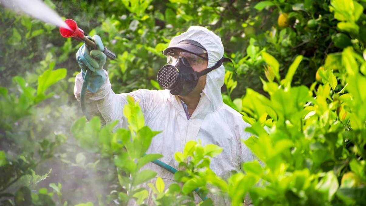  Kentlerin zehirsizleşmesi adına belediyeler ne yapıyor?