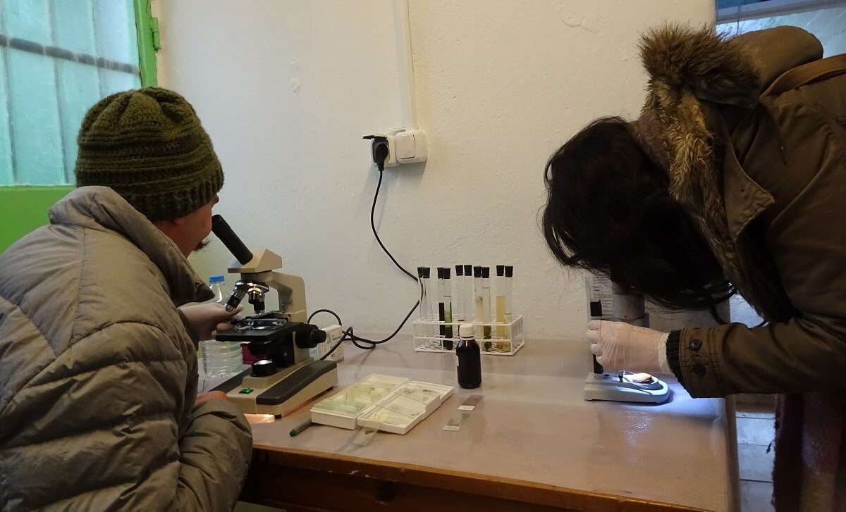  Biyolojik sergi ‘Tissue Lab’ ile kozmos deneyimi