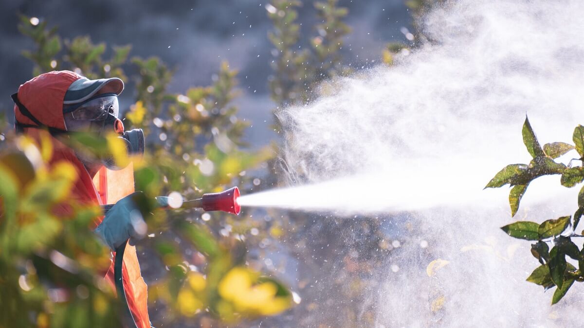  Zehirsiz Kentlere Doğru: Belediyeler İçin Zararlılarla Zehirsiz Mücadele Rehberi