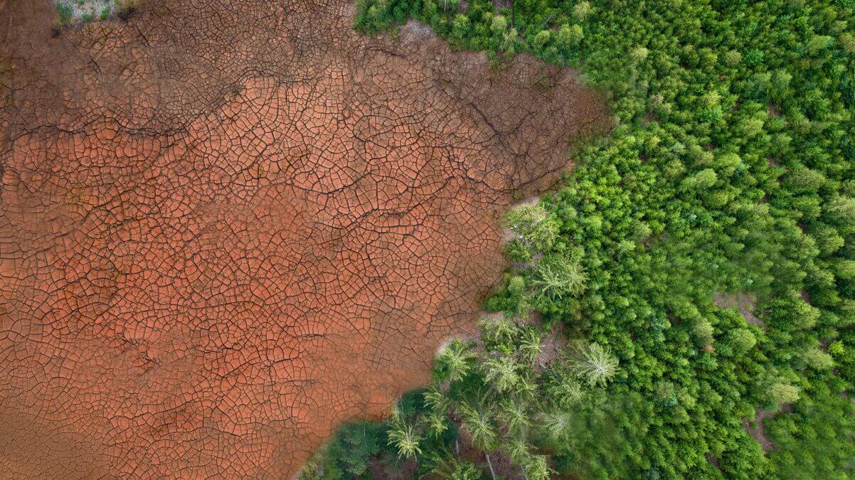  Çölleşme ve iklim değişikliği
