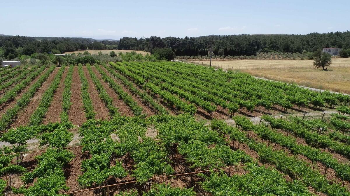  İzmir Buca’da Tarım Okulu açılıyor